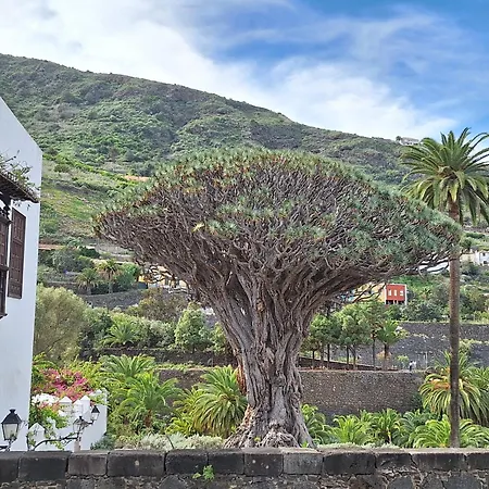 Monis Atlantic Terrace Apartmán